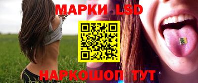 ешки Боровичи