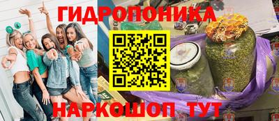 ешки Боровичи