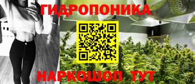 гашик Братск