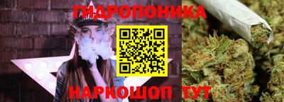 ешки Боровичи